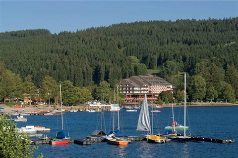 Visite d&#039;une jounée de Zurich au lac Titisee Forêt-Noire