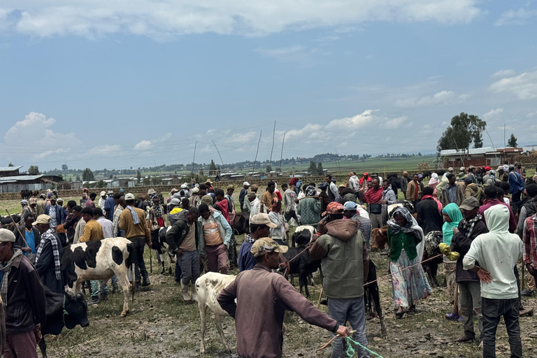 From Addis Ababa: 3-Day Ethiopia Highlights Adventure