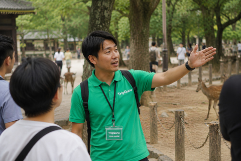 Nara: Deer Park, Todaiji Temple, & Great Buddha Walking Tour Private Tour