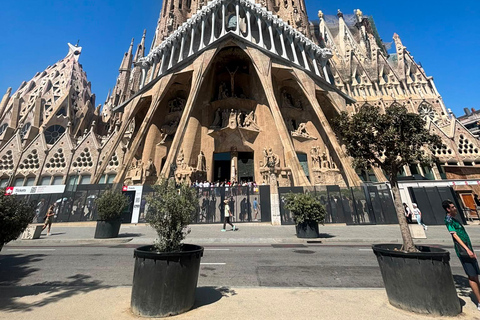 Barcelona: Sagrada Familia Guided Tour in Your Language Spanish Tour