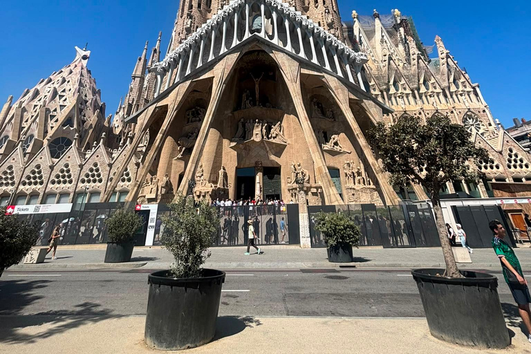 Barcelona: Sagrada Familia Guided Tour in Your Language Spanish Tour