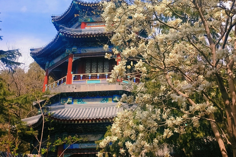 Beijing: Summer Palace Highlight Walking Tour