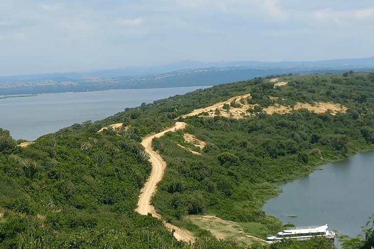 Kampala: 4-Day Western Uganda Safari with Meals