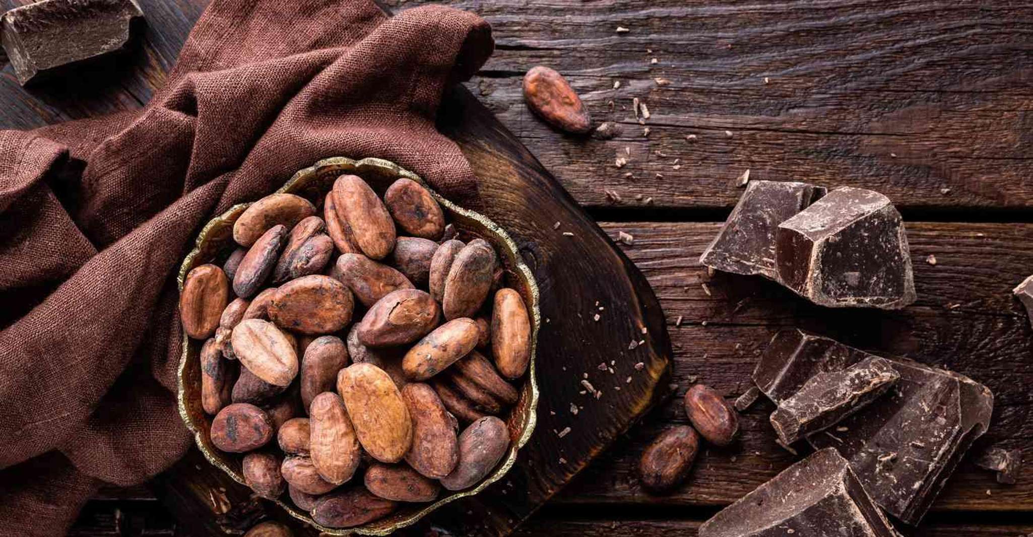 Discovery al cioccolato a Parigi! - Housity