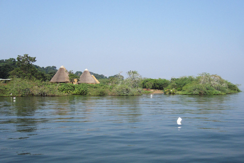 Ngamba Island Chimpanzee Sanctuary Trip
