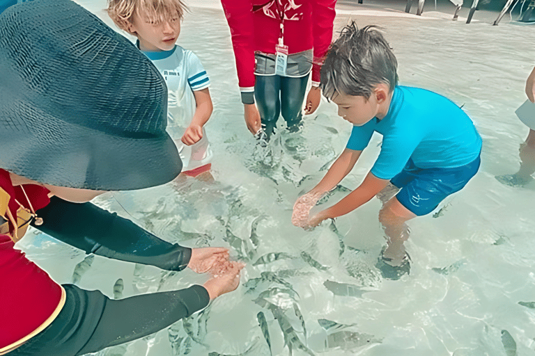 Phuket/Khao Lak: James Bond & Khai Island Tours wt Sea Canoe Khao Lak: James Bond & Khai Island with Sea Canoe