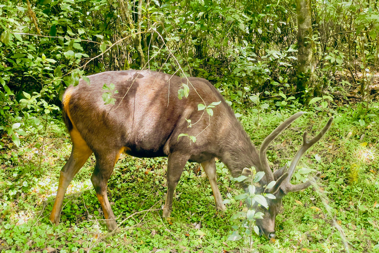 Ella: Horton Plains & Bomburu Ella Waterfall Tour