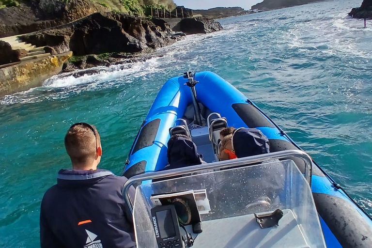 Vila Franca do Campo: Bird Watching & Snorkeling Vila Franca do Campo: Marine Birdwatching & Snorkeling