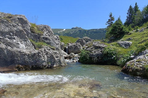 Dagwandeling in Zanoaga Gorges