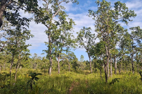 Phnom Penh: Kirirom National Park Day Trip with Lunch