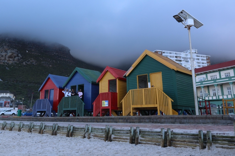 Kaapstad: dagtour schiereiland, pinguïns en Kaap de Goede Hoop