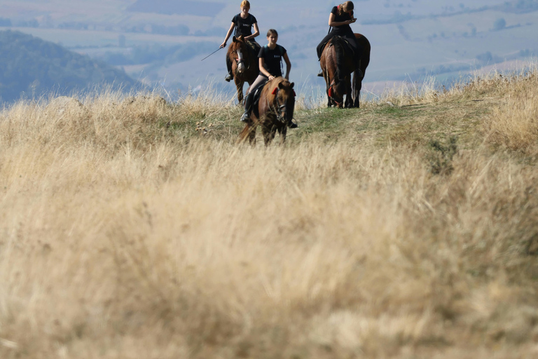 Hammamet: Nature Horse Riding Experience in the Hills