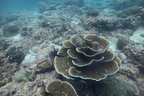 Golden Horizon of Krabi: 4 Islands & Phra Nang Sunset