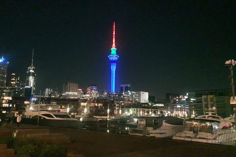 Auckland: Translado privado do aeroporto