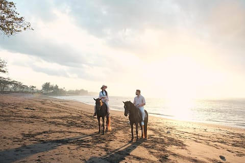 Bali: Horseback Riding with Nusa Penida & Mount Agung Views