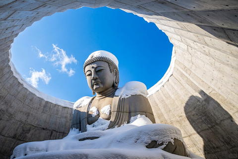 Sapporo: Hill of the Buddha, Otaru Canal&Mt. Tengu Panoramas