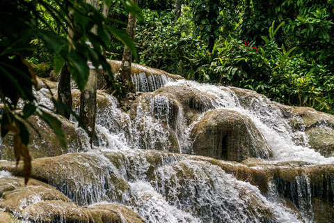 Ocho Rios: Tour delle cascate del fiume Dunn da Montego Bay