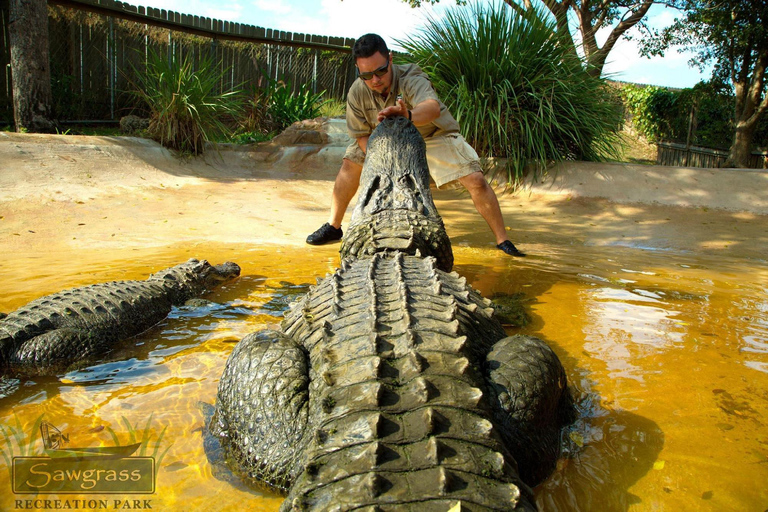 Miami Combo: Everglades Adventure and Sightseeing Tour Combo - Downtown Miami pickup
