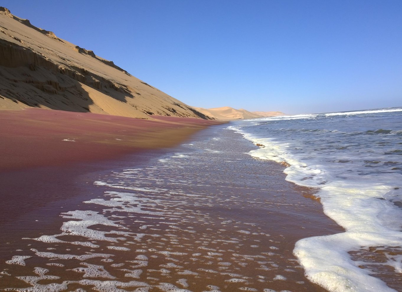 Walvis Bay: 4x4 ørkenudflugt til Sandwich Harbour Bay