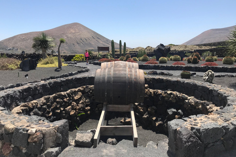 Tour privado del vino y los volcanes