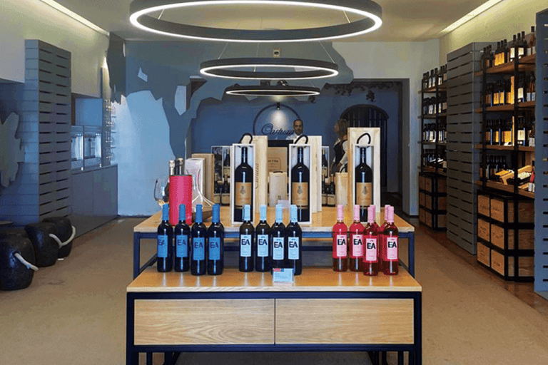 Évora: Prova de vinhos e visita cultural