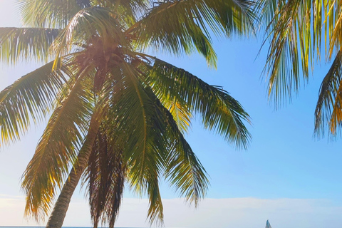 Saona Island: Private Yacht Tour with Lunch & Pickup