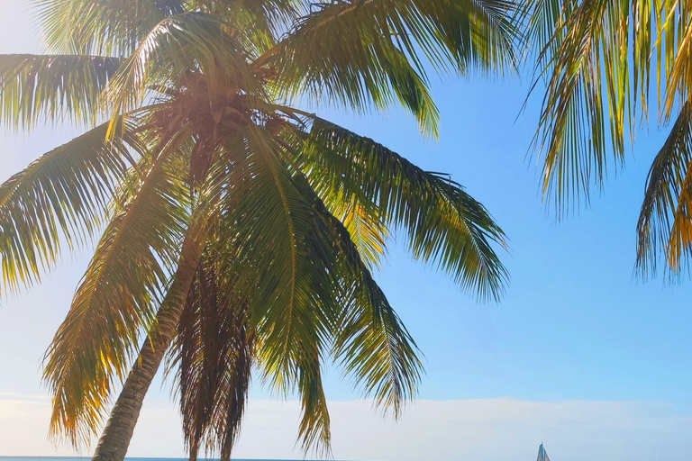 Saona Island: Private Yacht Tour with Lunch & Pickup