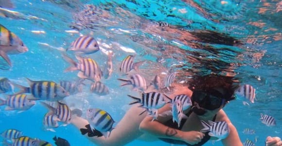 Stone Town, Blue Lagoon, Starfish & Spice Farm with Lunch