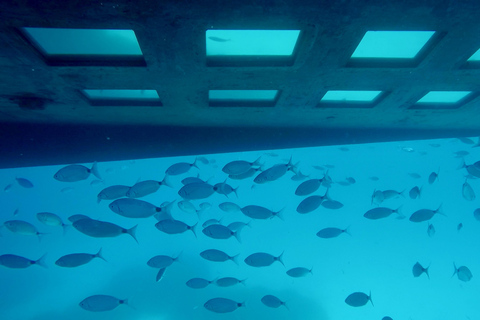 Boat Trip Halfday Boat with Submarine view natural coast Boat Trip Visit, Propriano Half day visit reserve natural