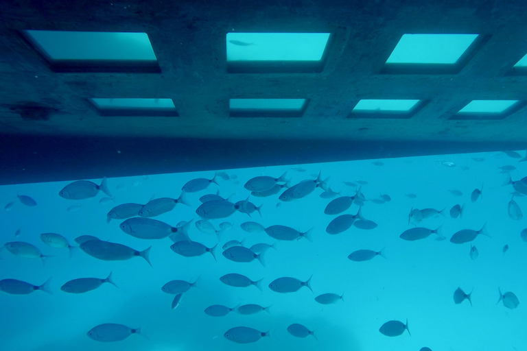 Boat Trip Halfday Boat with Submarine view natural coast Boat Trip Visit, Propriano Half day visit reserve natural