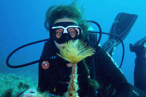 Formentera: Try Diving Experience in the Natural Park
