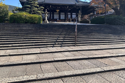 Kyoto Tour: Sanjusangendo, Kiyomizudera, Yasaka Pagoda and Ginkakuji.