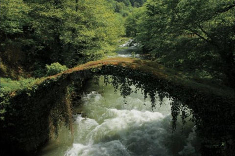 From Batumi: Mtirala National Park Private Tour with BBQ