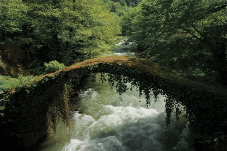 From Batumi: Mtirala National Park Private Tour with BBQ