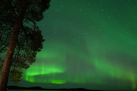 Rovaniemi: Coffee under Northern Lights & Professional Photo