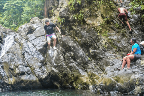 Excursion d'une journée dans la forêt tropicale d'El Yunque avec transport