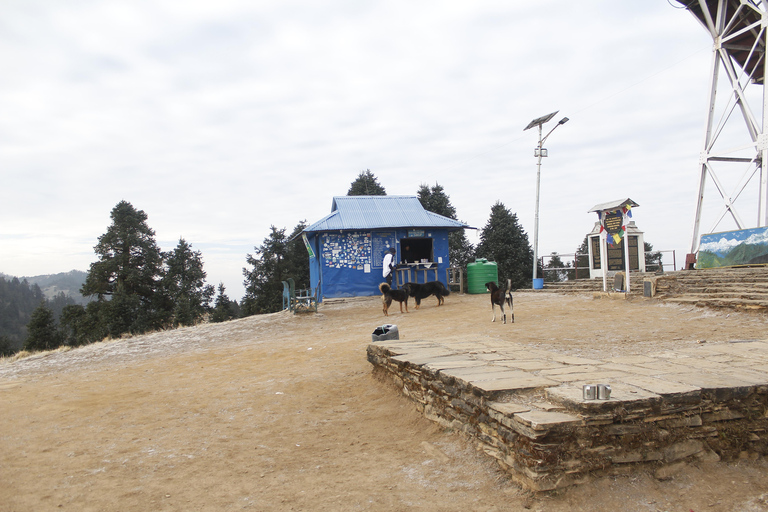 From Pokhara: 2-Day Short Poon Hill Trek