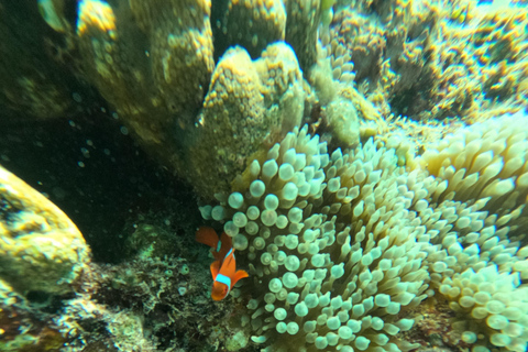 Lombok: Tour in barca delle isole Gili Nanggu, Sudak e Kedis