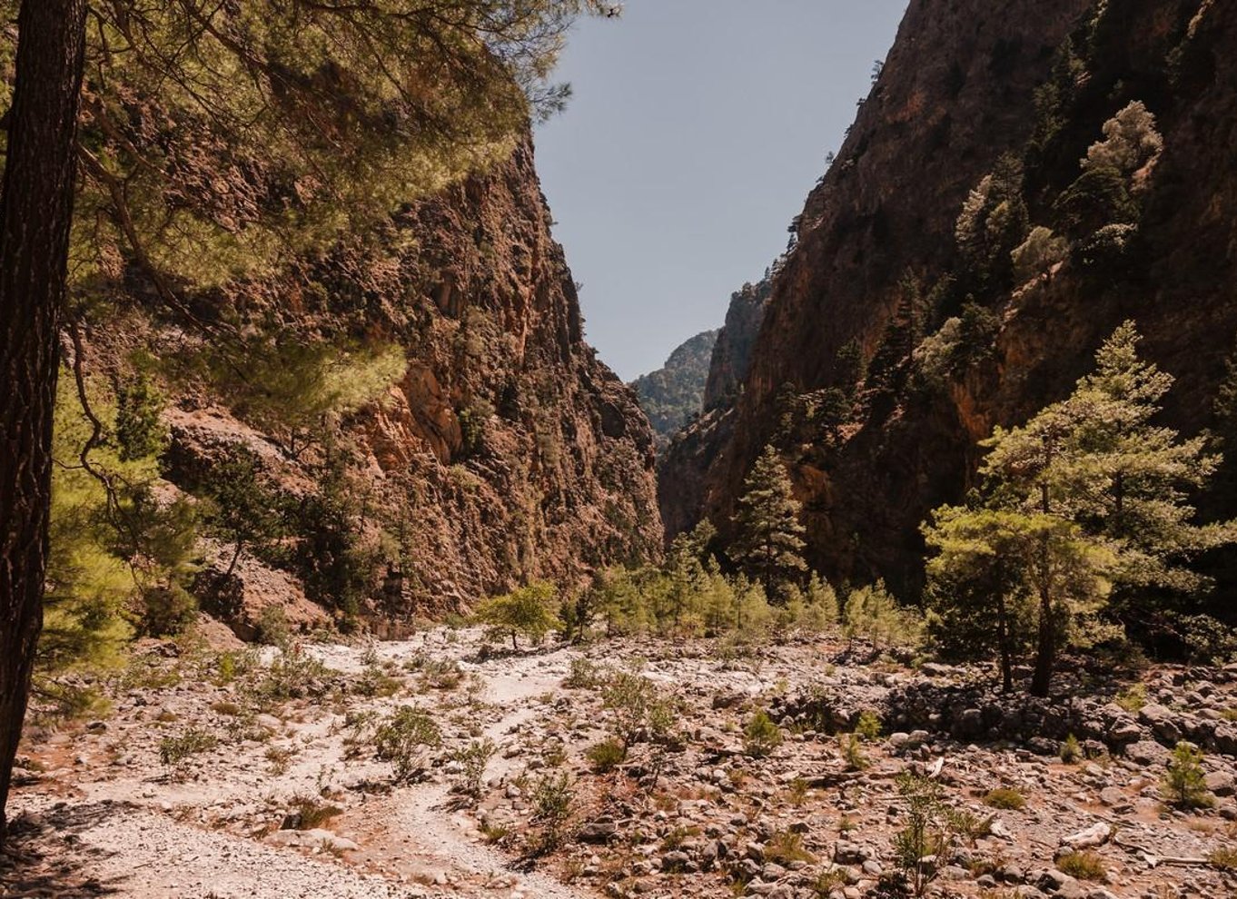 Fra Chania: Heldagsudflugt i Samaria-kløften med guide