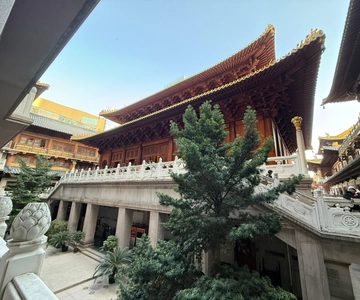 Shanghai: Visita de un día al Templo Jingan, Tianzifang y Shikumen