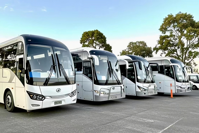 From Melbourne: Great Ocean Road & 12 Apostles Wild Day Tour