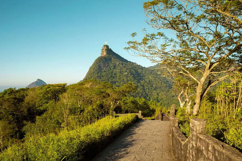 Rio de Janeiro: Zwiedzanie z przewodnikiem do Parku Narodowego Tijuca