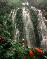 Bali Northern Best Cachots Tour - Housity