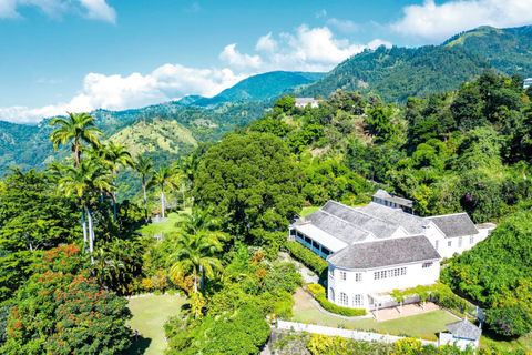 Visite d'une jounée des Montagnes Bleues (partagée/privée) - Principales attractionsJournée complète partagée entre Kingston et les Blue Mountains