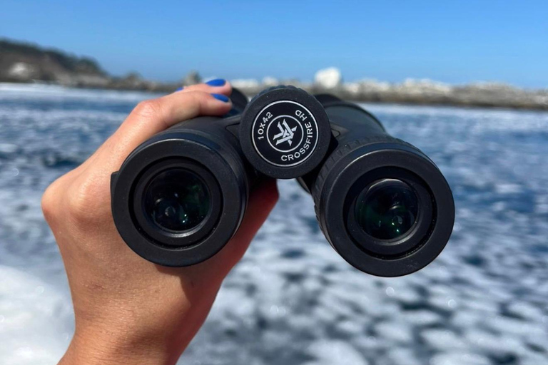 Papudo: Horseback Riding, Penguin Watching, and Sailing