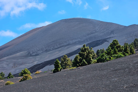 La Palma: Tour naar de nieuwe vulkaan Tajogaite 360º.Ophalen in Santa Cruz de La Palma