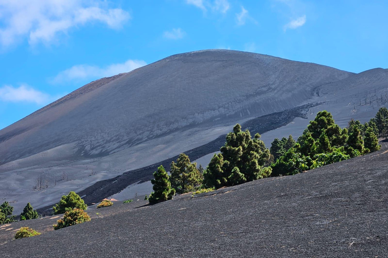 La Palma : Visite du nouveau volcan Tajogaite 360º.Accueil à Fuencaliente