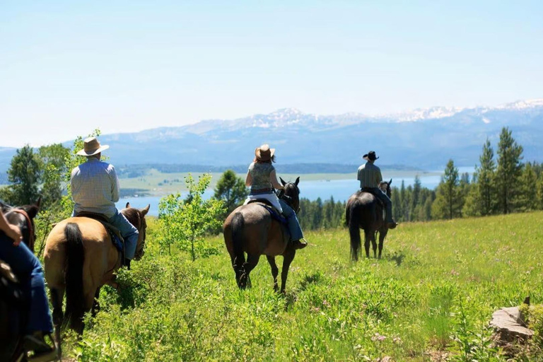 Marmaris: Horseback Riding Tour with Hotel Pick Up