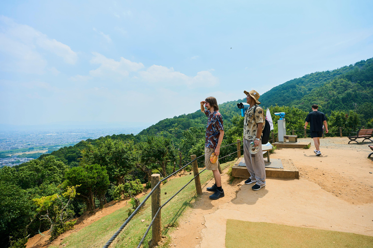 Kyoto: Arashiyama UNESCO Walking Tour with Admission