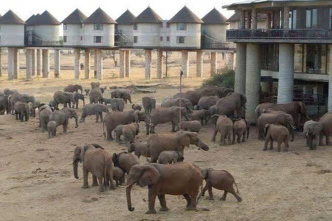 2 days 1 night saltlick safari from Diani/Mombasa.